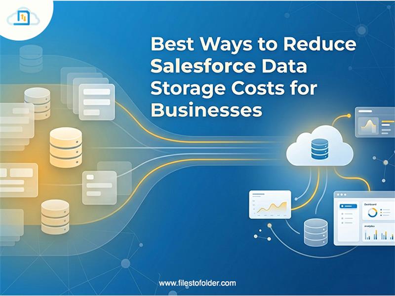 You are currently viewing Best Ways to Reduce Salesforce Data Storage Costs for Businesses