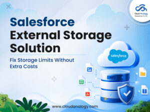 Read more about the article Salesforce External Storage Solution – How to Fix Storage Without Extra Cost
